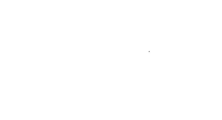 Strada Consulting